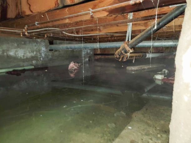 Best 24/7 water damage repair  in Potosi, TX