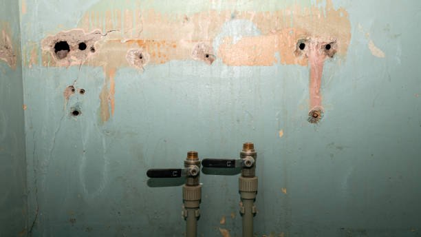 Best Water damage restoration near me  in Potosi, TX