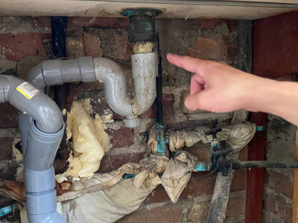Best Flood damage cleanup  in Potosi, TX