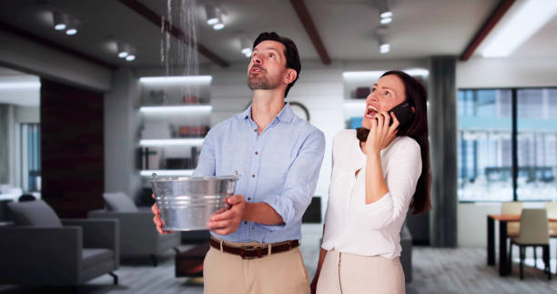  Potosi, TX Water damage restoration Pros