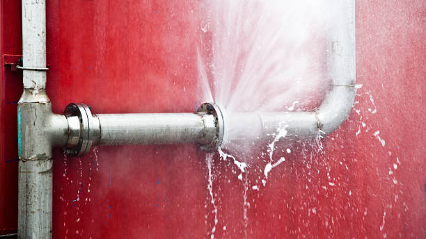 Trusted Potosi, TX Water damage restoration Experts